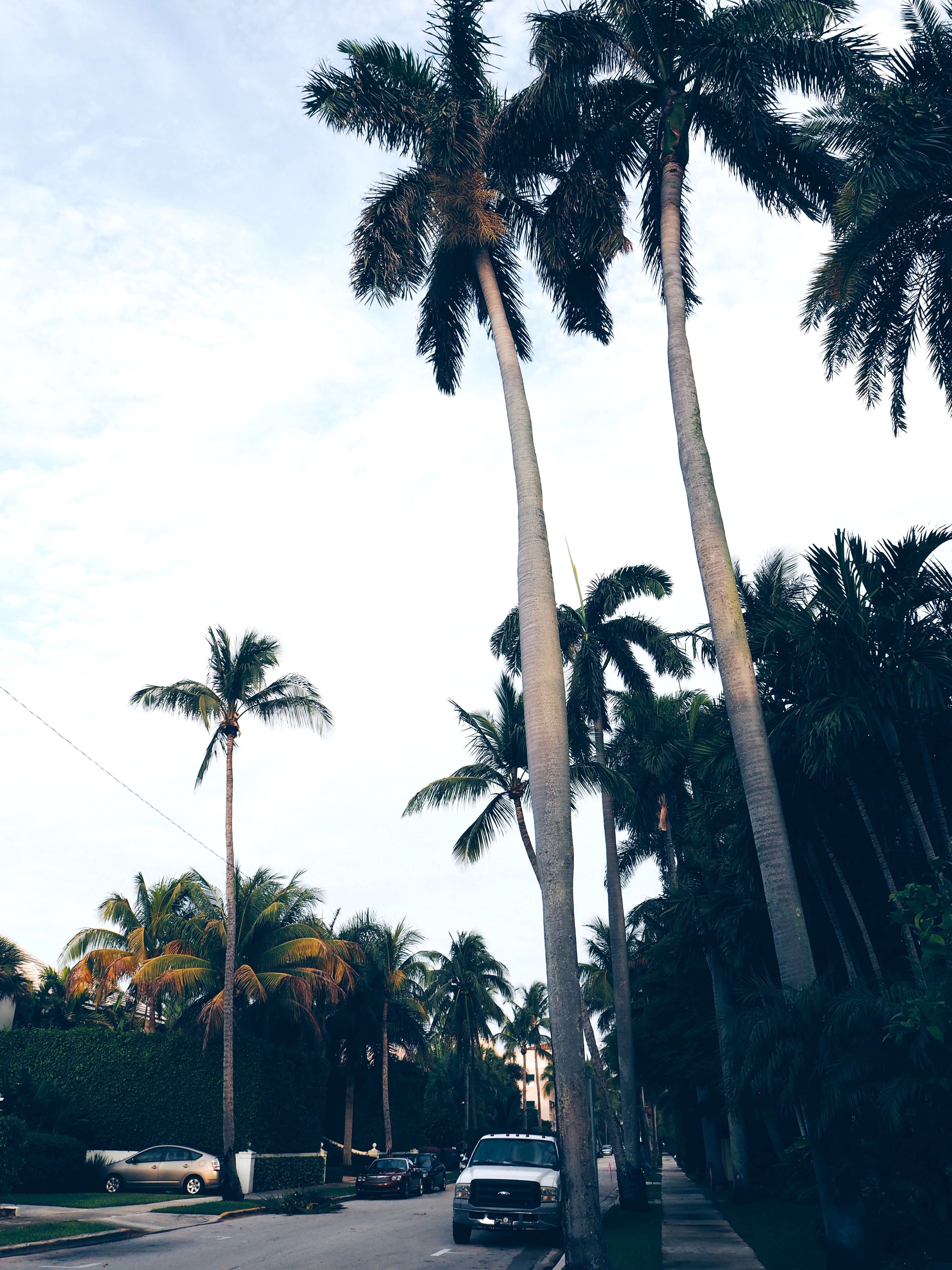 palm-beach-florida